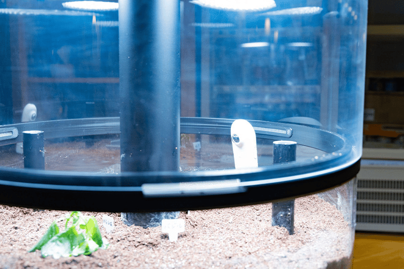 「インドアファーミングユニット」内を撮影するIoT対応カメラ