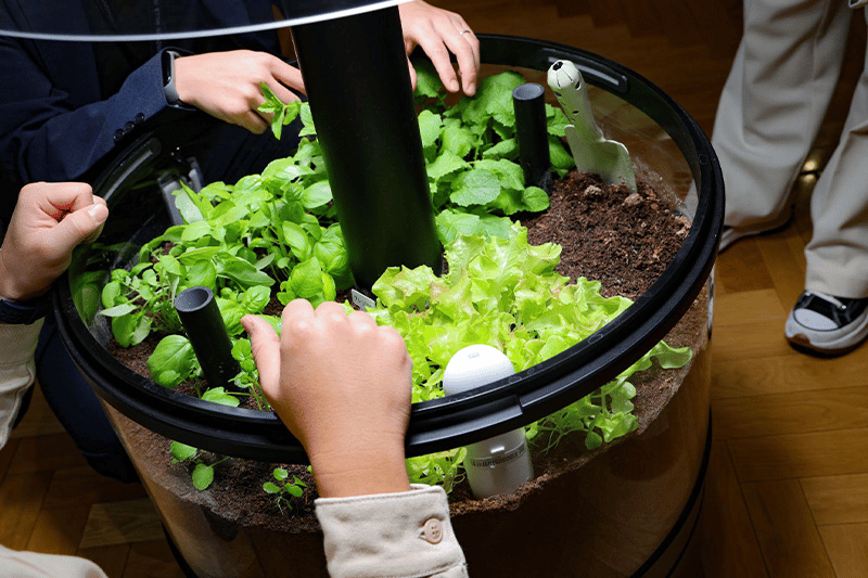 間引き会の様子
