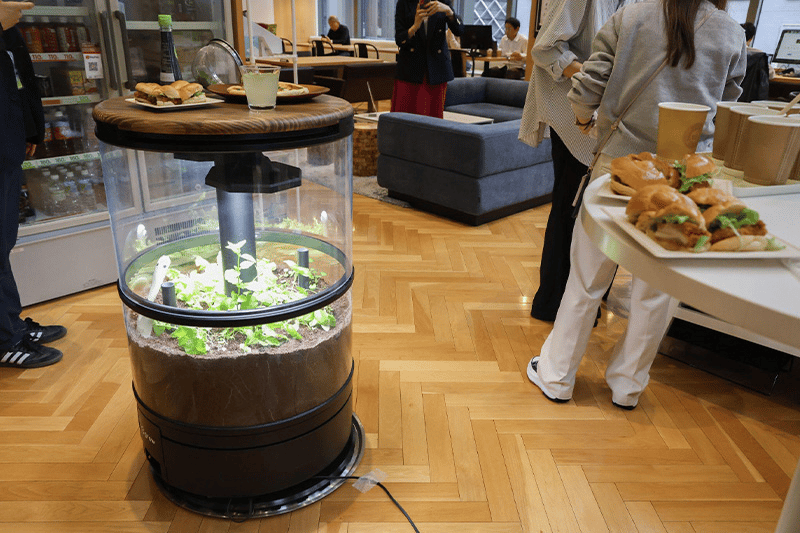 自分たちで育てた食材を使ったメニューが並ぶキッチンの様子