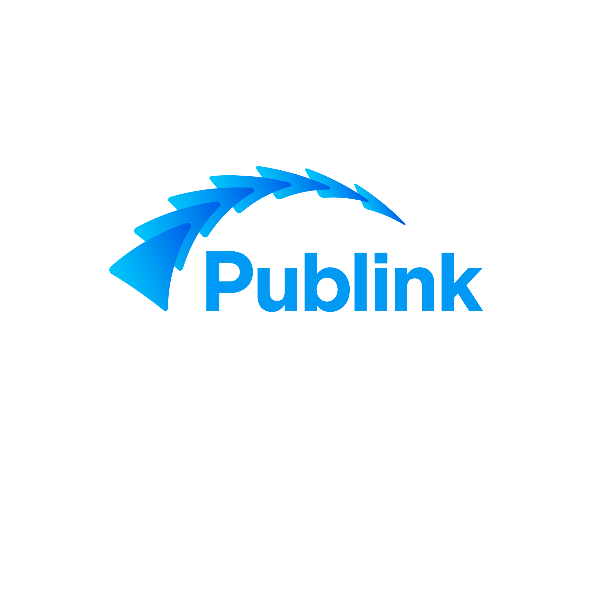 publink_logo2