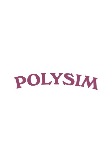 株式会社POLYSIM