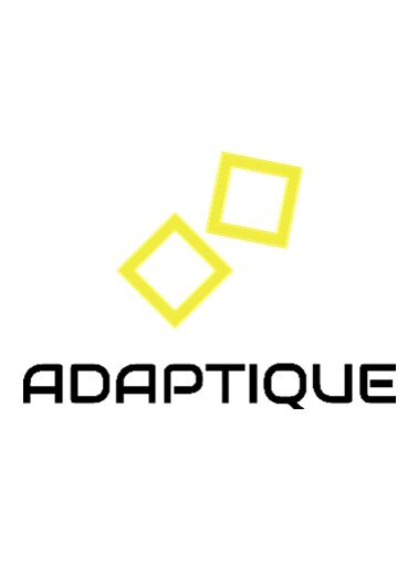株式会社Adaptique